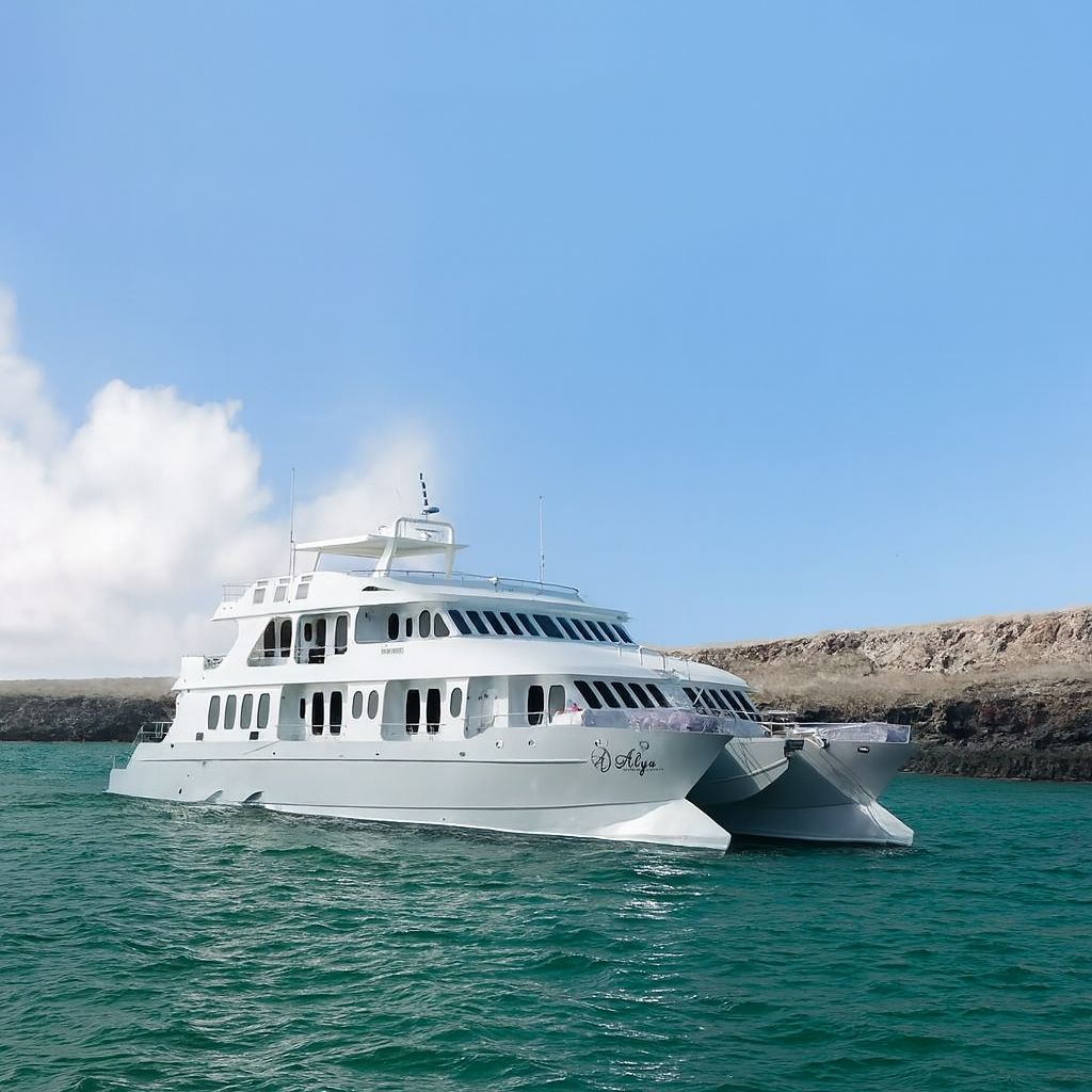 Best Galapagos Cruise for Adults Only