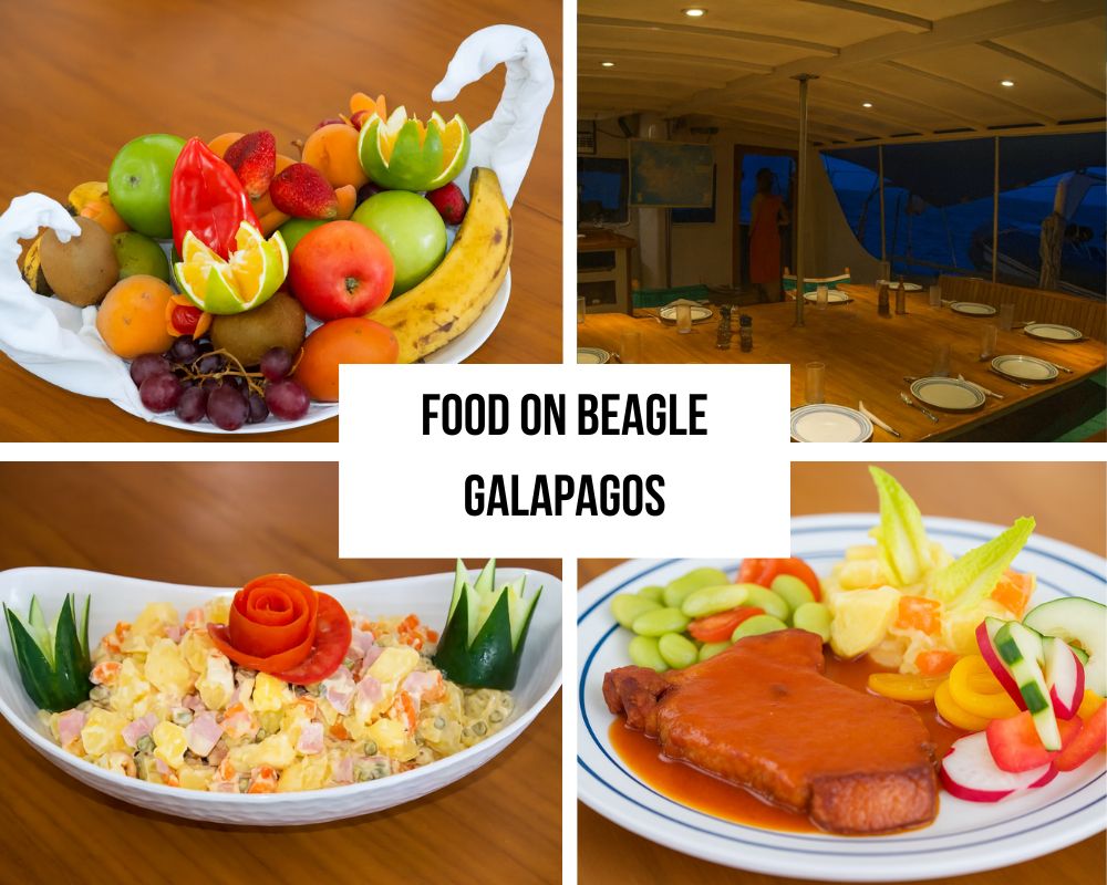 Gourmet Dining Experience on the Beagle Galapagos Cruise