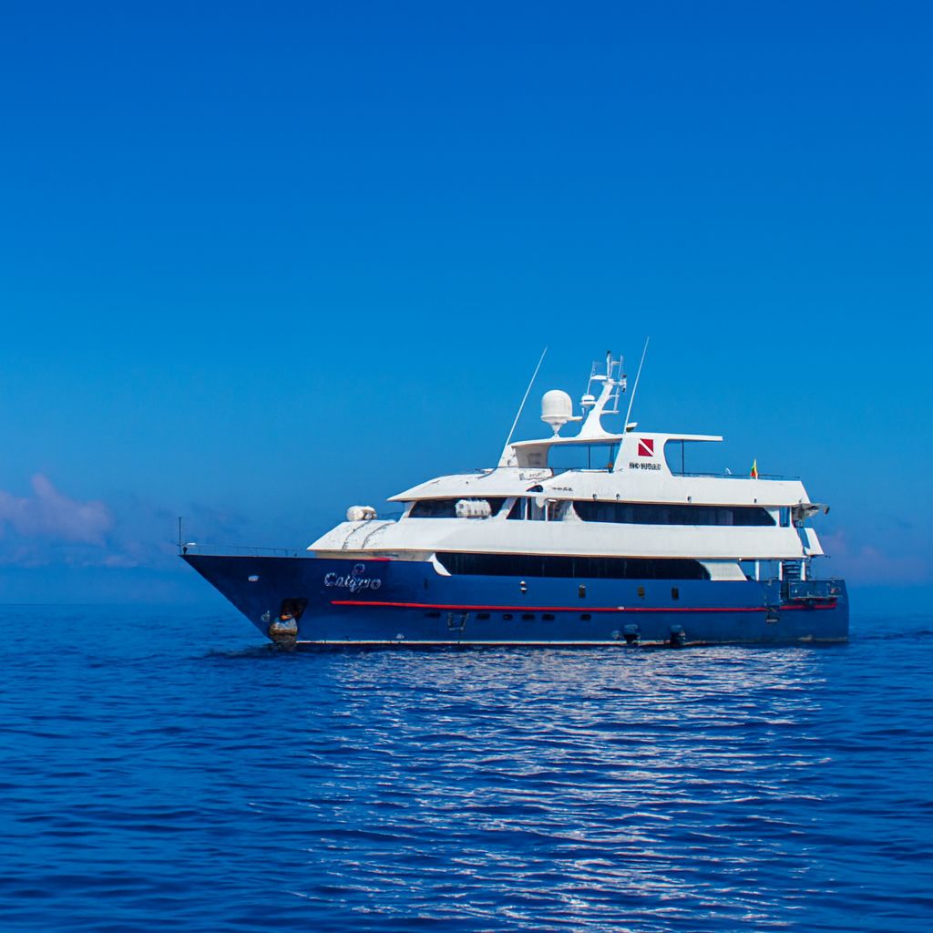 Calipso Galapagos Cruise Review
