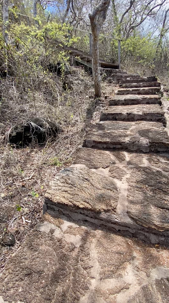Hiking on a Galapagos Cruise: What Trails to Expect