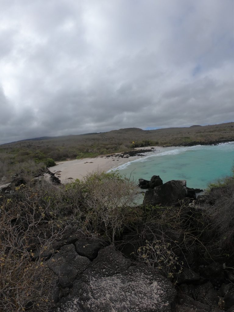 Cool and dry season landscape in the Galapagos Islands during a July cruise tour with Cruises to Galapagos Islands