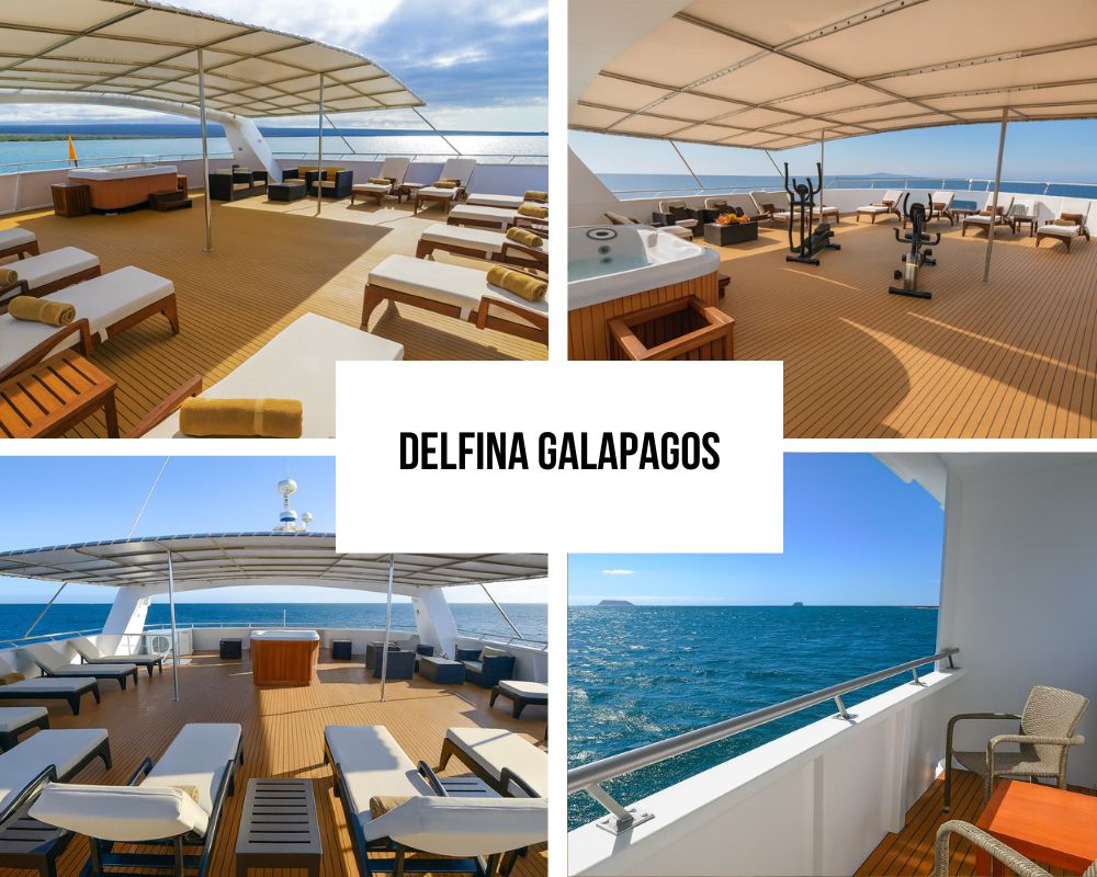 Comprehensive Outdoor Spaces and 360-Degree Excellence on the National Geographic Delfina