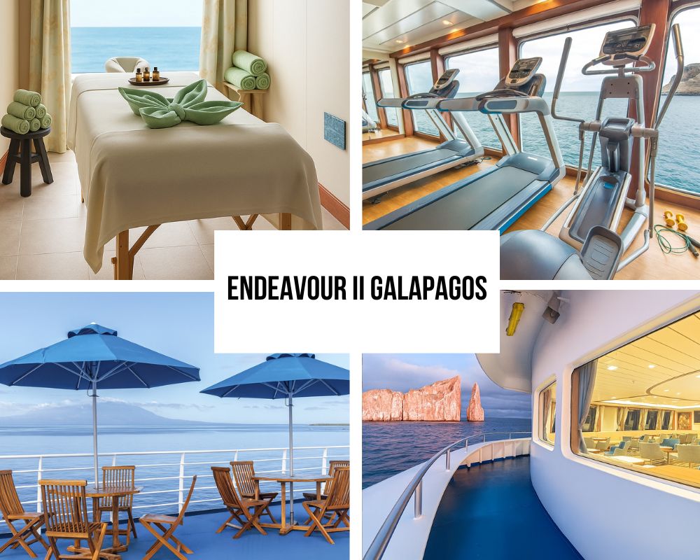 Comprehensive Big Ship Amenities on the National Geographic Endeavour II