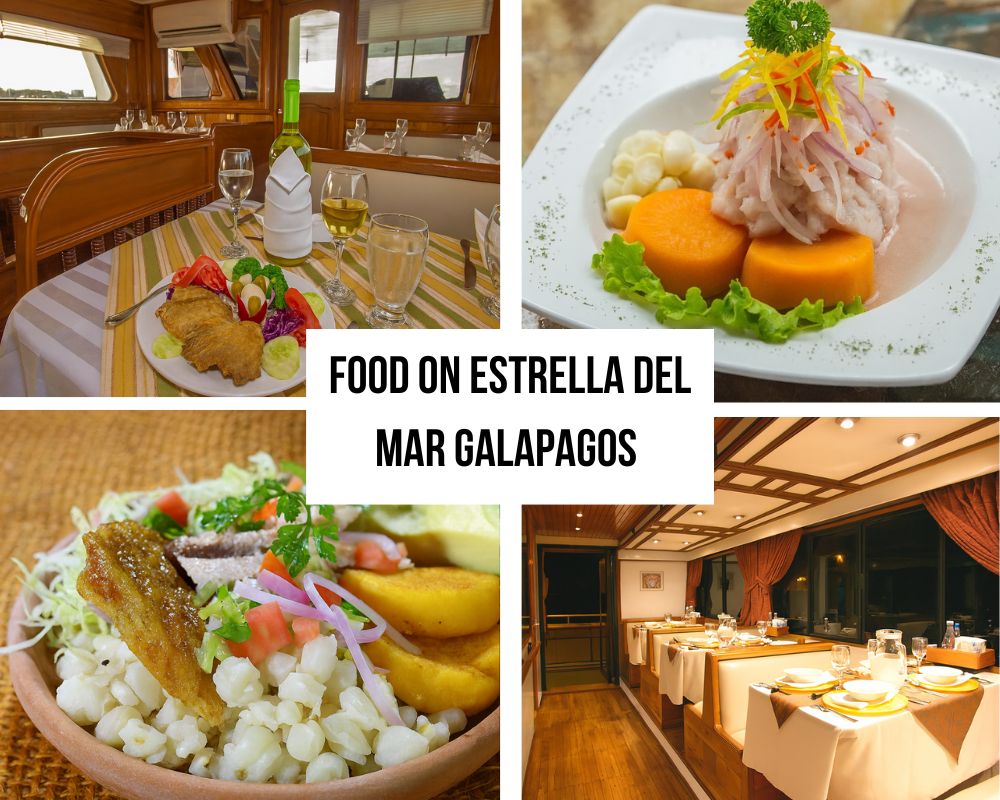 Exceptional Dining Experience on the Estrella del Mar Galapagos Cruise
