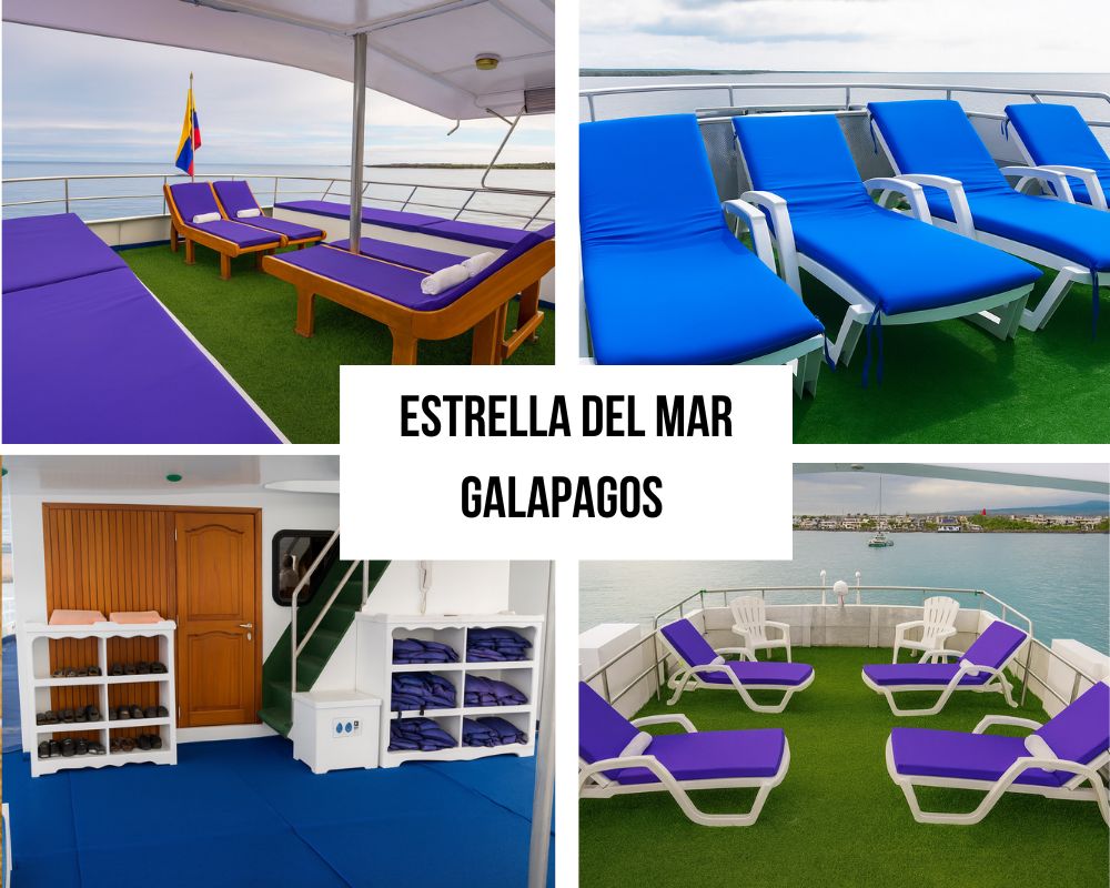Estrella del Mar Galapagos Cruise