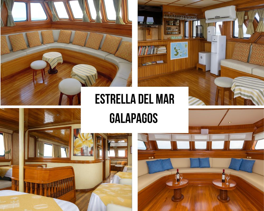 Social Hub Design on the Estrella del Mar Galapagos Cruise