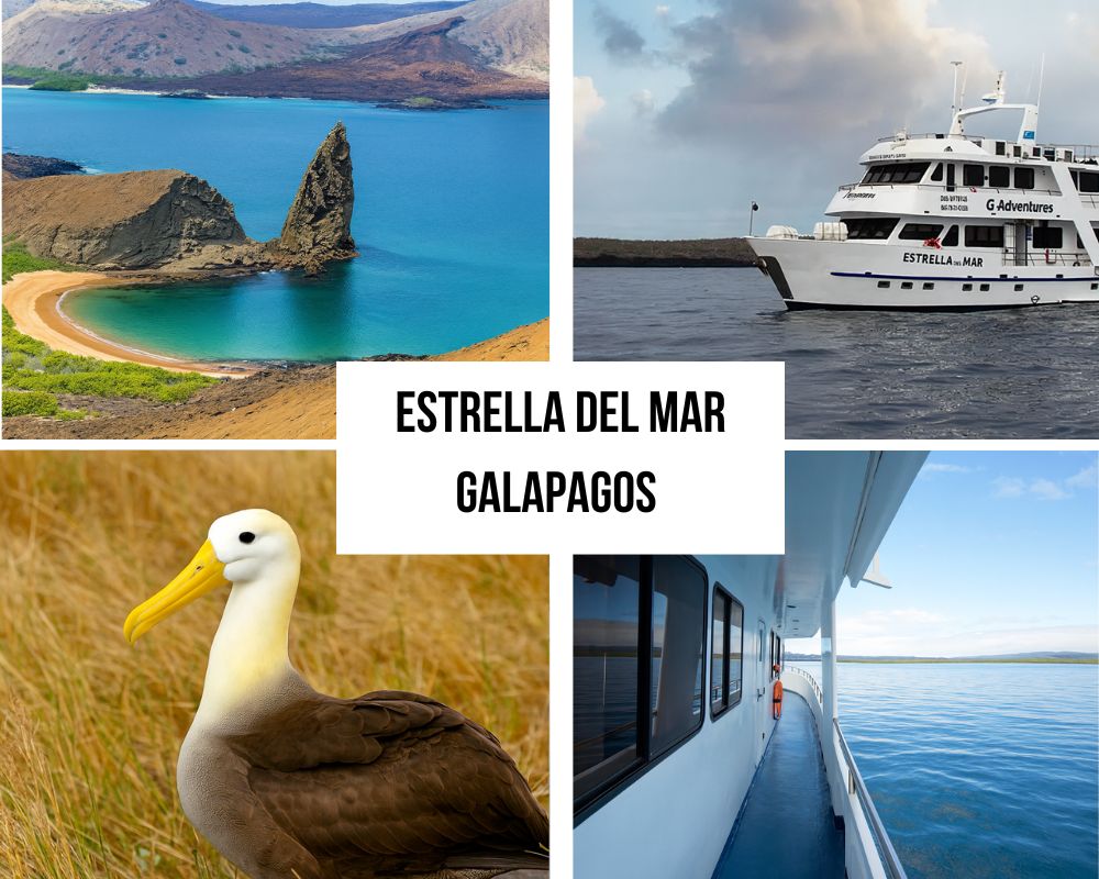 Estrella del Mar Galapagos Cruise