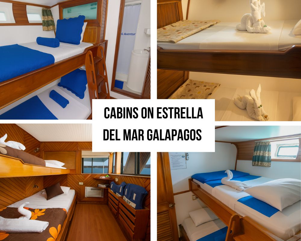 Accommodations on the Estrella del Mar Galapagos Cruise