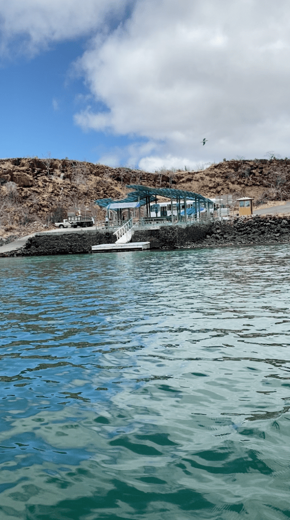 Tourist ferry dock near Santa Cruz Island during a Galapagos Islands expedition in April with Cruises to Galapagos Islands