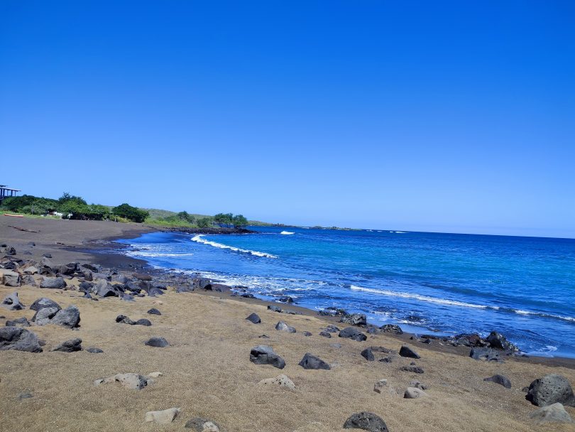 Galapagos Cruise in December: Festive Season in Galapagos