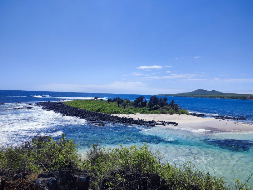 Floreana Island beach and shallow turquoise bay surrounded by volcanic rocks and coastal vegetation during our agency’s Galápagos cruise