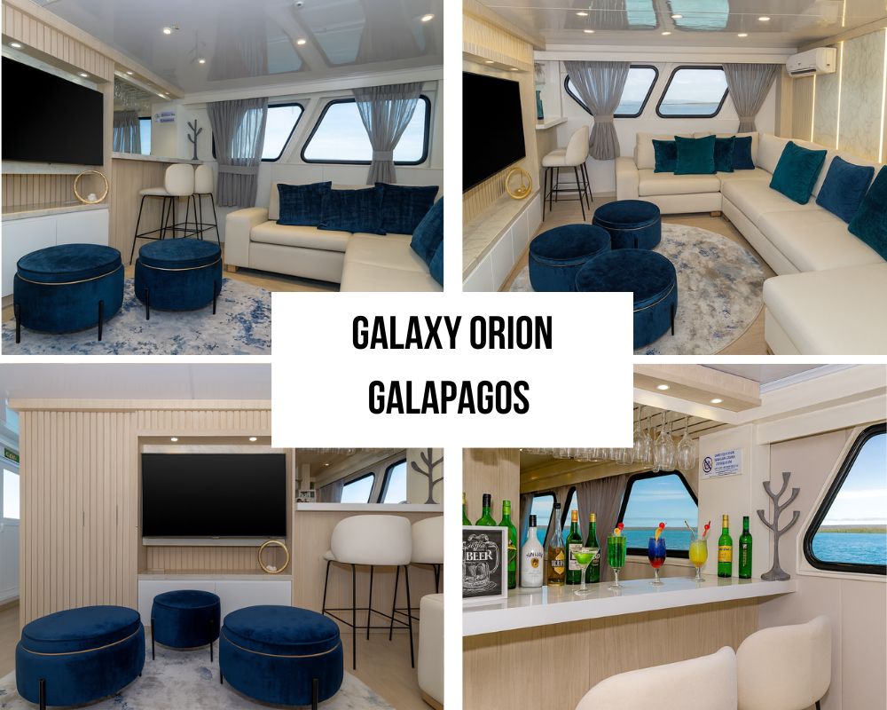 Guest Testimonials on the Galaxy Orion Galapagos Cruise
