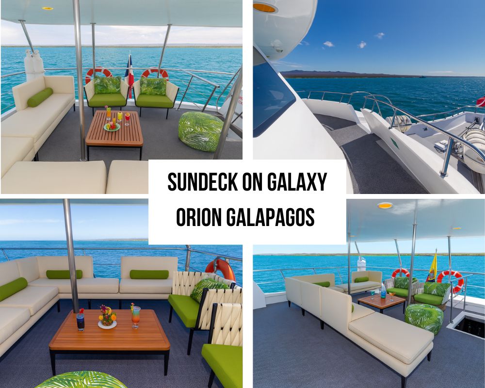 Modern Sustainability Leadership on the Galaxy Orion Galapagos Cruise
