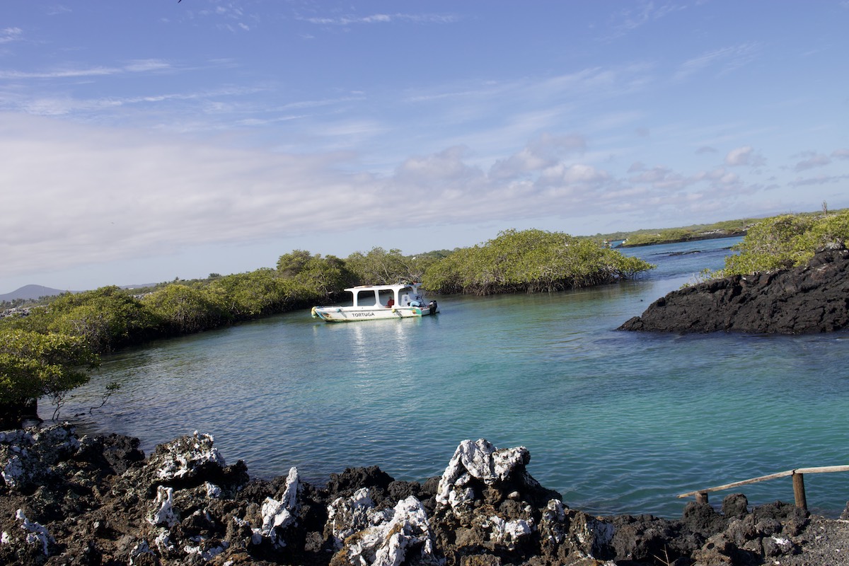 Peaceful Isabela Island waterway explored during a September wildlife adventure with Cruises to Galapagos Islands