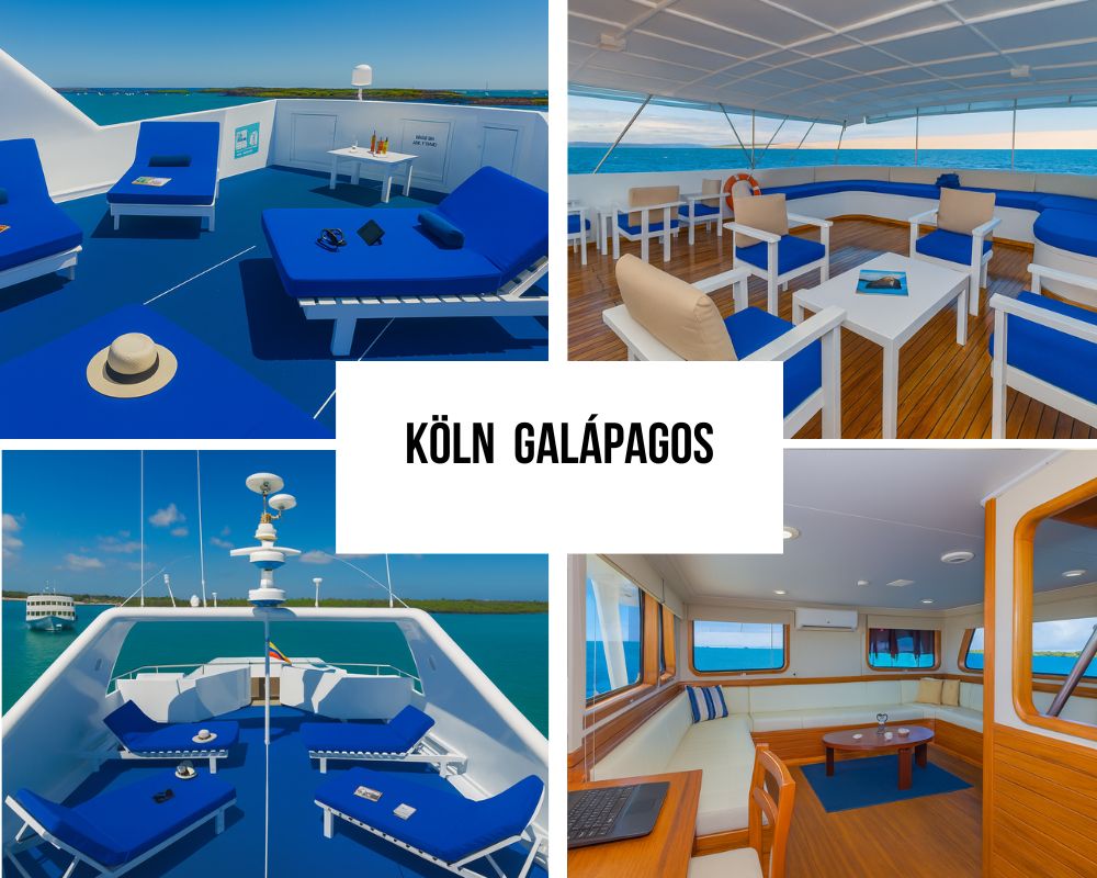 Guest Experience and Local Recognition on the Köln Galapagos Cruise