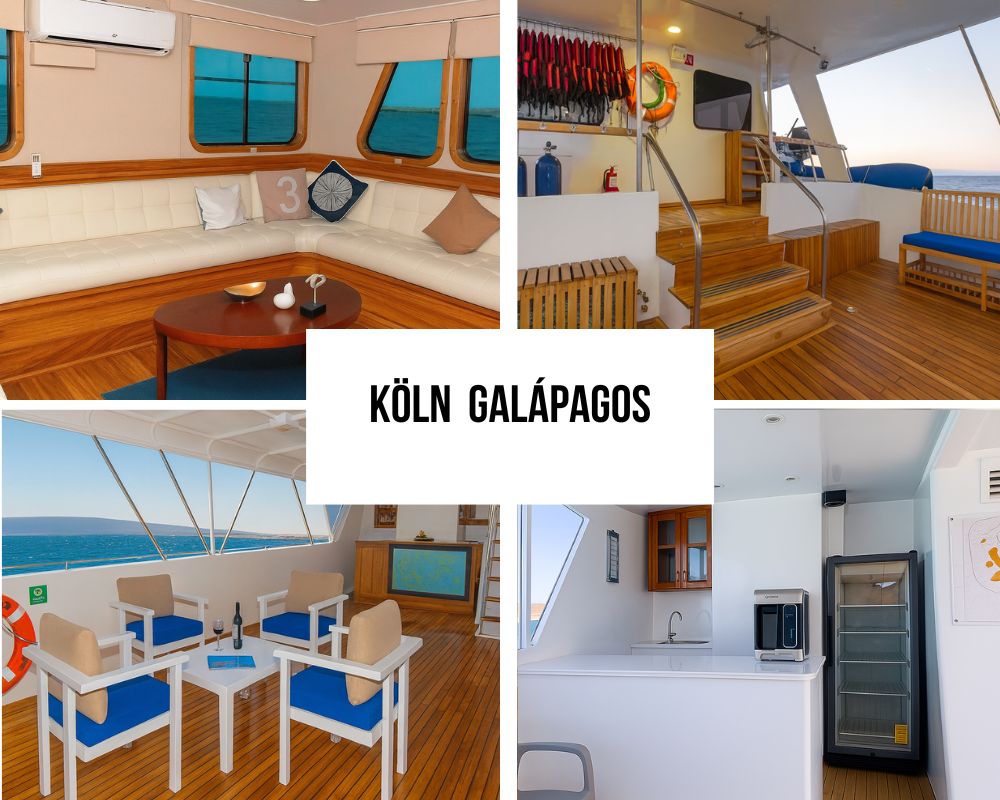 Environmental Leadership and Certifications on the Köln Galapagos Cruise