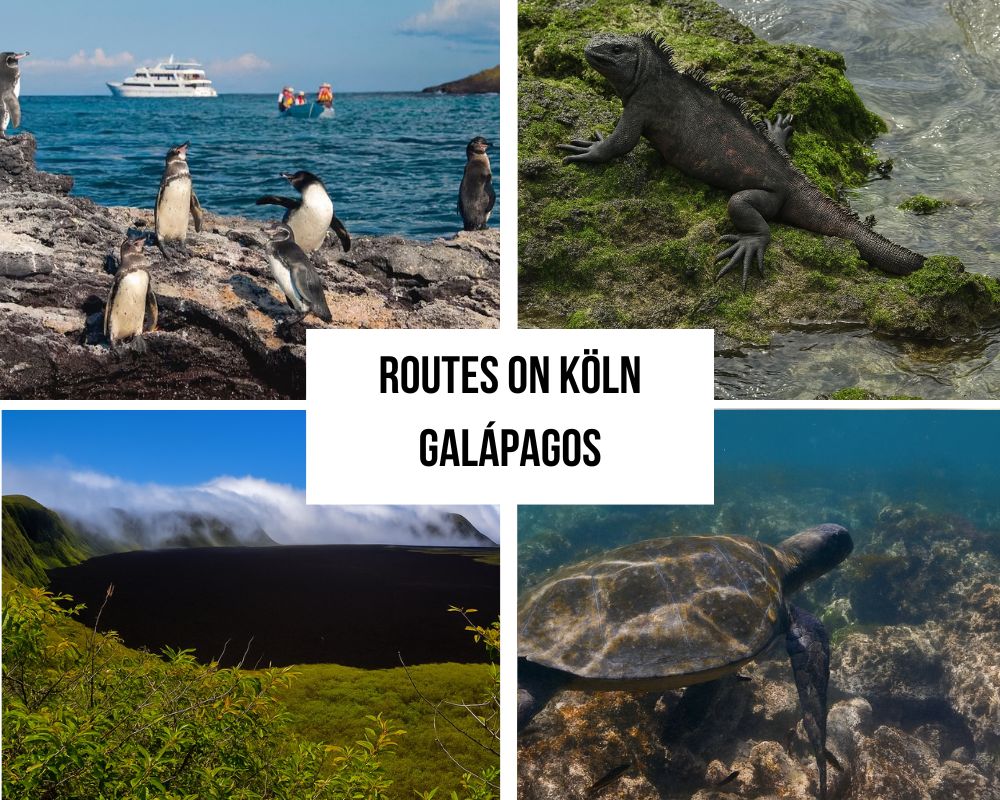 Comprehensive Itinerary Portfolio on the Köln Galapagos Cruise