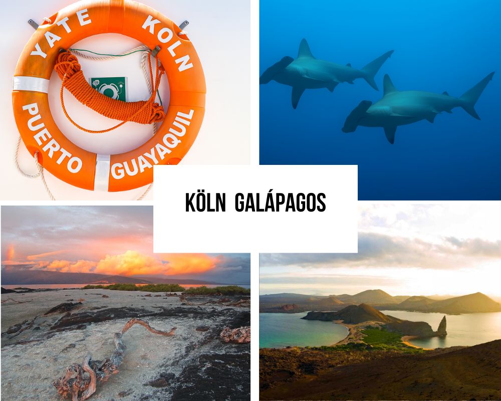 Köln Galapagos Cruise