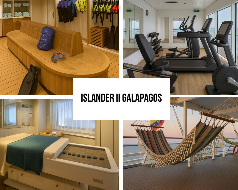Outstanding Social Spaces and Unique Design Features on the National Geographic Islander II