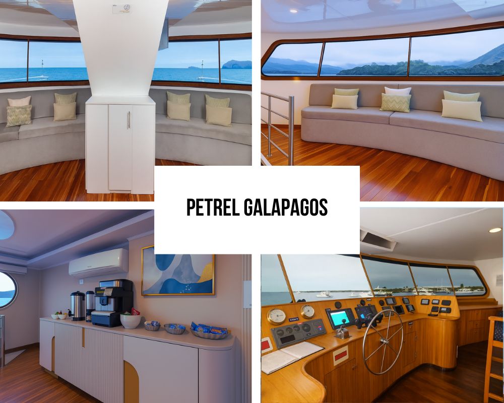 Comprehensive Family-Owned Service and Crew Excellence on Petrel