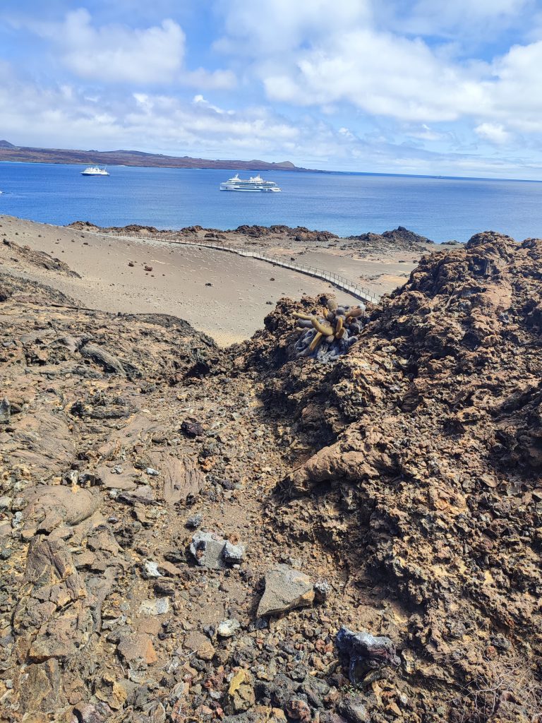 Is There WiFi on Galapagos Cruises?