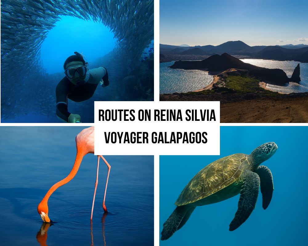 Comprehensive Itinerary Portfolio on the Reina Silvia Voyager Galapagos Cruise