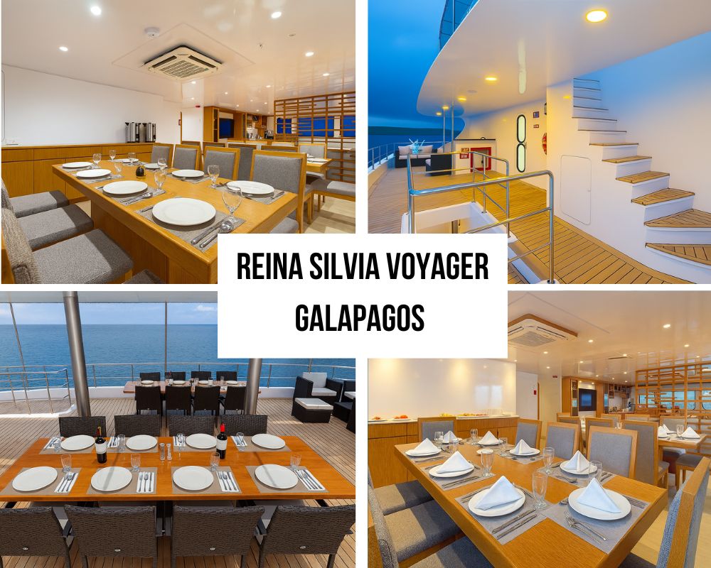 Comprehensive Luxury Package on the Reina Silvia Voyager Galapagos Cruise