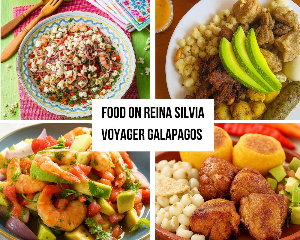 Fine Dining Excellence on the Reina Silvia Voyager Galapagos Cruise