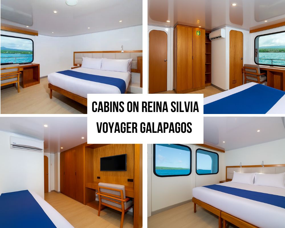 Modern Luxury Accommodations on the Reina Silvia Voyager Galapagos Cruise