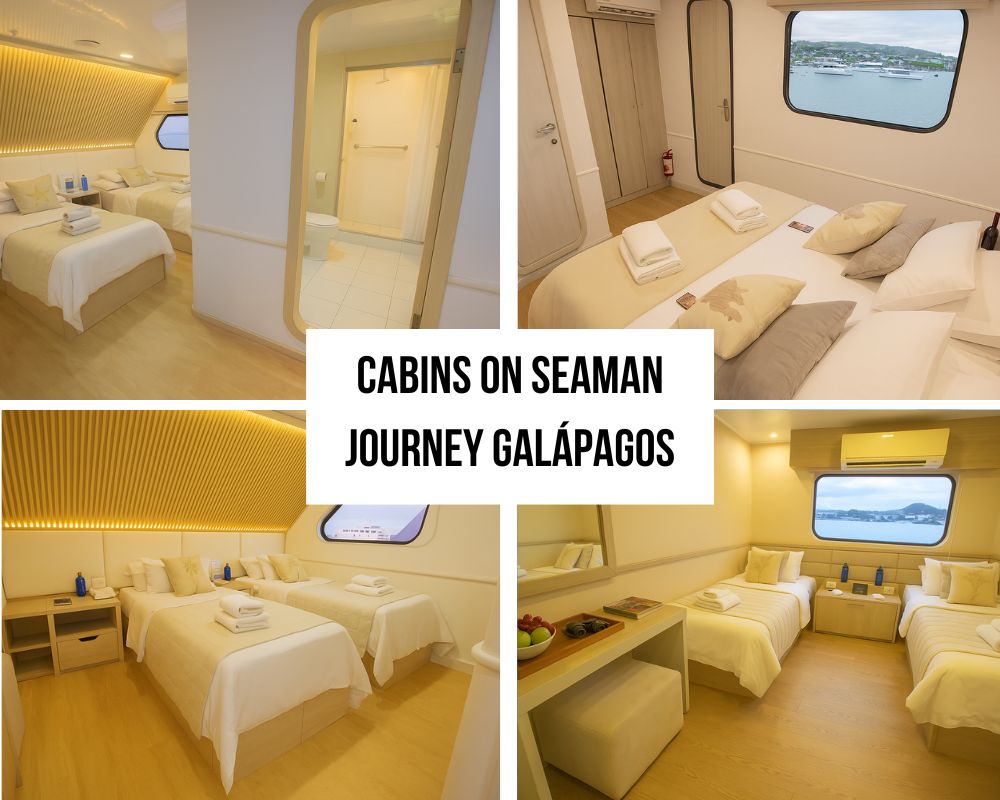 Exceptional Cabin Configuration and Ocean Views on the Seaman Journey Galapagos Cruise