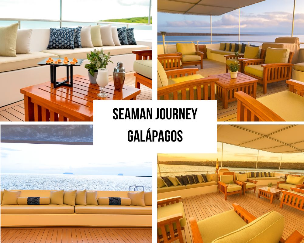 Seaman Journey Galapagos Cruise