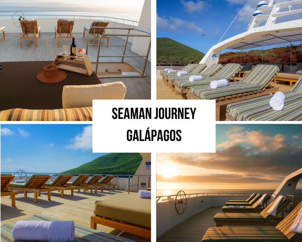 Enhanced Connectivity and Modern Amenities on the Seaman Journey Galapagos Cruise
