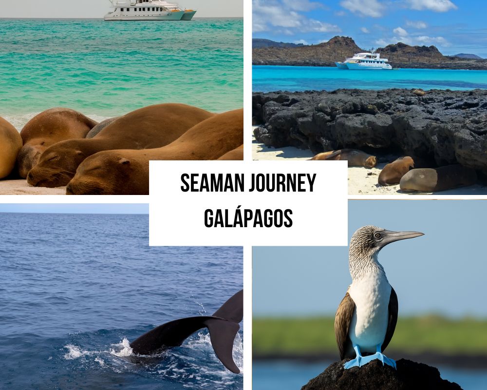 Comprehensive Itinerary Portfolio on the Seaman Journey Galapagos Cruise