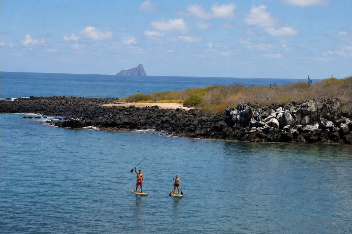 Stand-Up Paddleboarding in the Galapagos