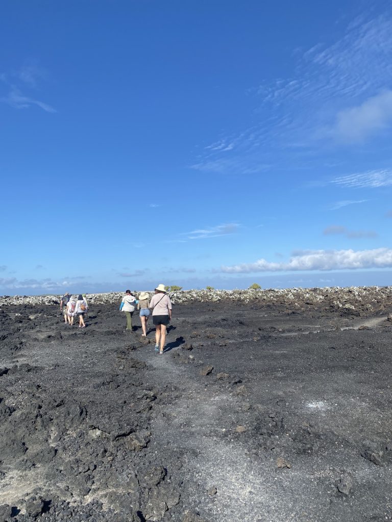 Tourist crowds walking through the volcanic landscapes of the Galapagos during an April cruise with Cruises to Galapagos Islands