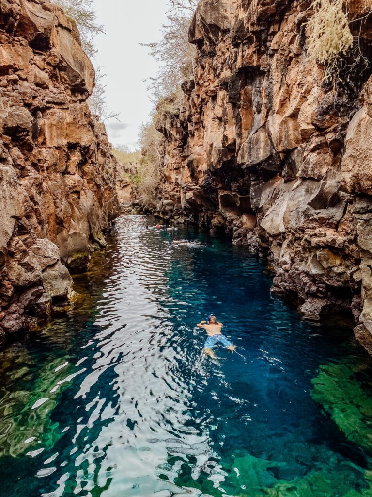 Last-Minute Galapagos Cruise Deals: Do They Actually Exist?