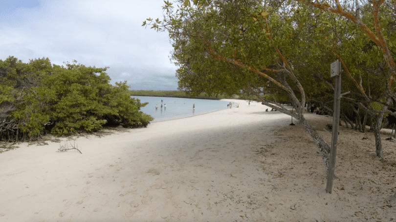 Visitors enjoying a peaceful Galapagos beach during a June cruise tour organized by Cruises to Galapagos Islands