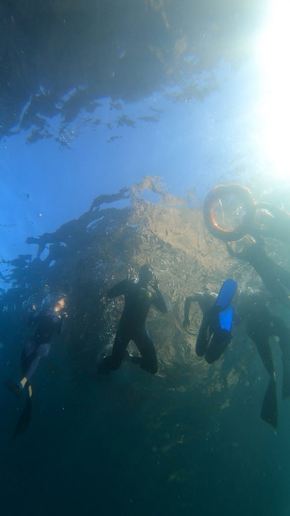 Snorkeling on a Galapagos Cruise: Complete Guide