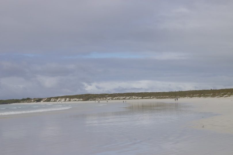 Tourists walking along a quiet white sand beach during a November Galapagos cruise with Cruises to Galapagos Islands