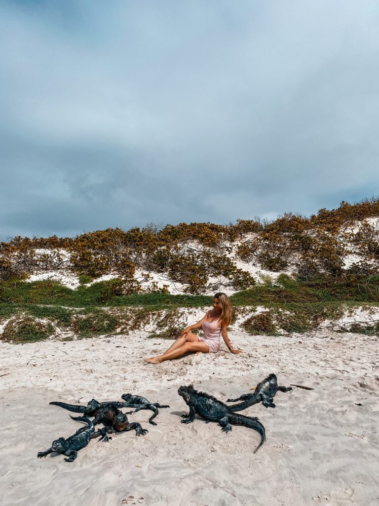 Best Galapagos Itinerary for Couples