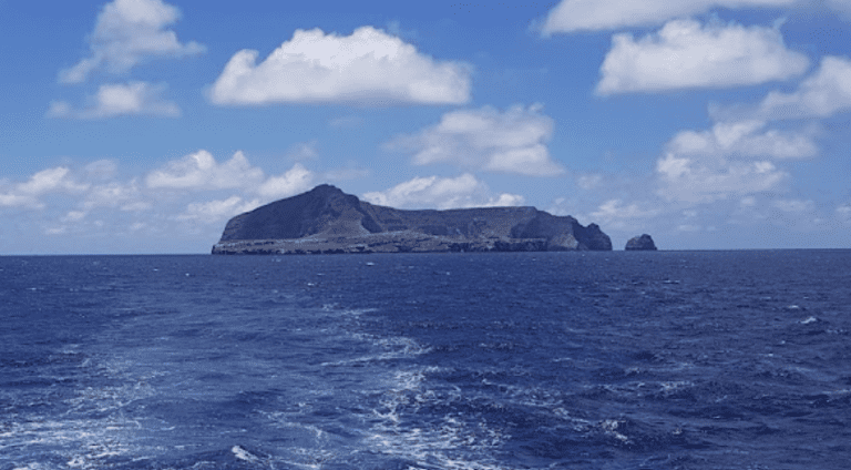 Galapagos Liveaboard Dive Boats: Complete Guide