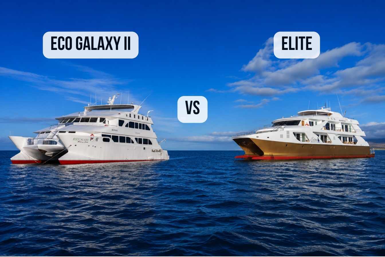 Eco Galaxy II vs Elite: Eco-Luxury Comparison