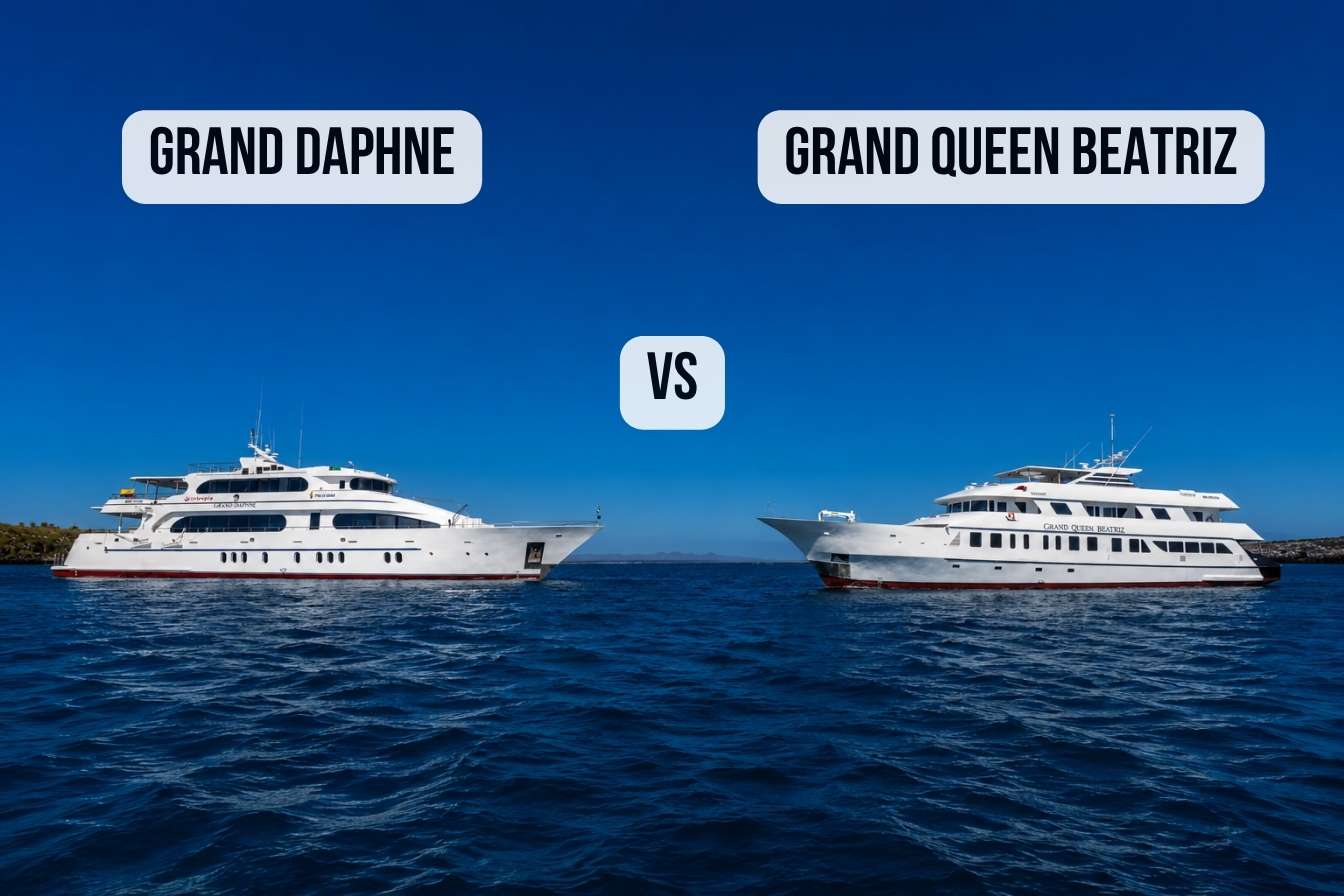 Grand Daphne vs Grand Queen Beatriz: Sister Ship Showdown