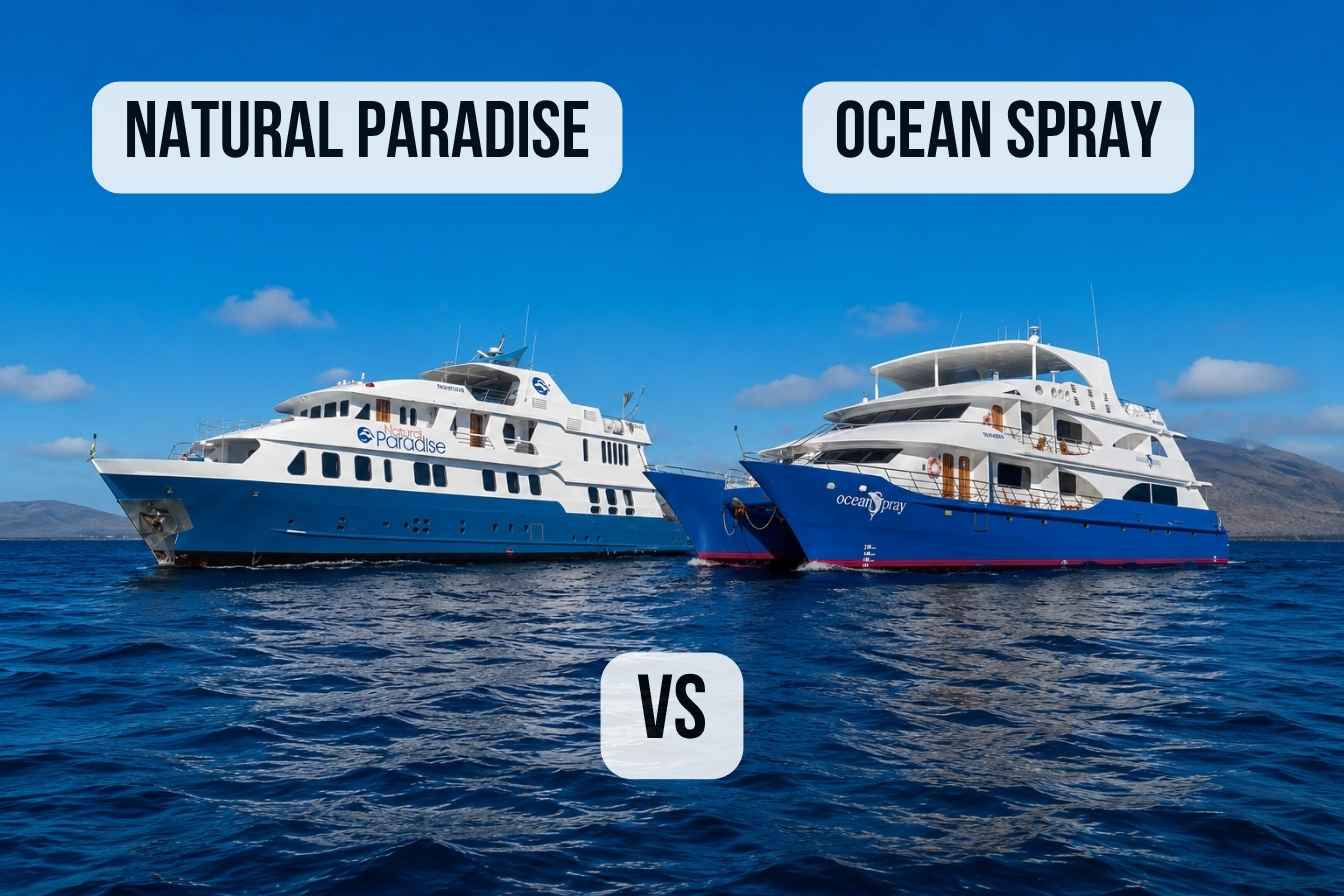 Natural Paradise vs Ocean Spray: First Class Catamaran Comparison