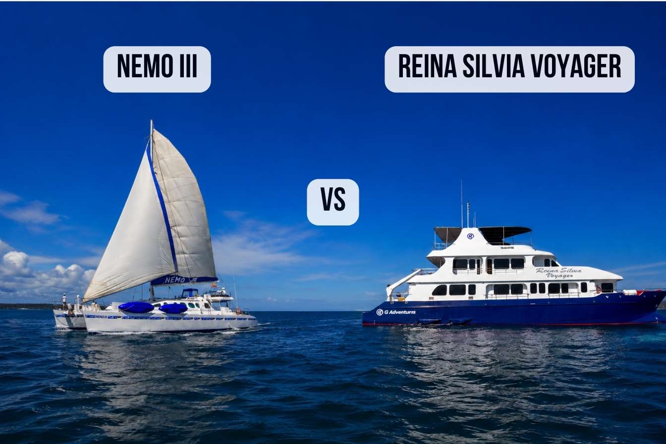 Nemo III vs Reina Silvia Voyager: First Class Catamaran Compared