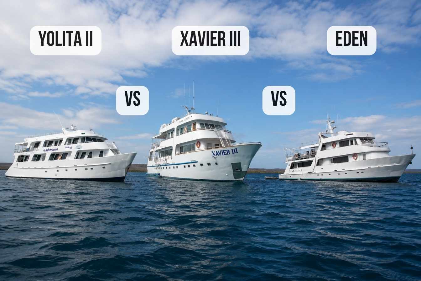 Yolita II vs Xavier III vs Eden: Budget Classic Value Comparison
