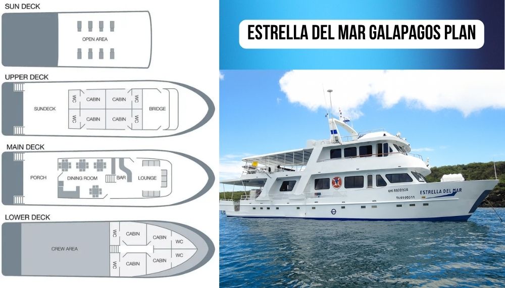 Motion-Sensitive Cabin Strategy on the Estrella del Mar Galapagos Cruise