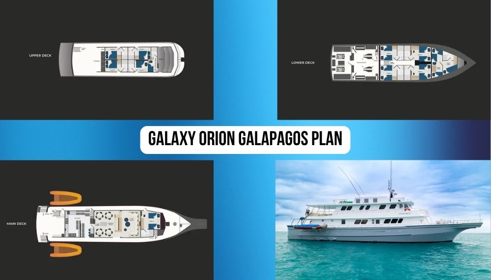 Sophisticated Cabin Diversity on the Galaxy Orion Galapagos Cruise