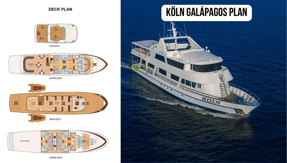 Outstanding Crew Excellence and Reputation on the Köln Galapagos Cruise