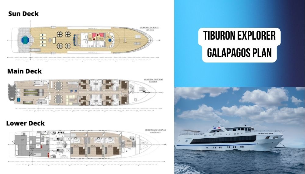 Revolutionary Purpose-Built Design and Modern Diving Excellence on Tiburon Explorer